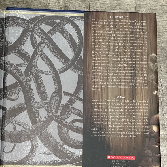 1st PRINT Harry Potter Goblet of Fire Jim Kay illustrated J.K. Rowling 4th Book - Picture 8 of 10